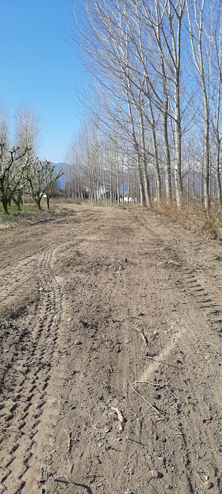 agrotiki_odopoiia_6.jpg agrotiki_odopoiia_6.jpg