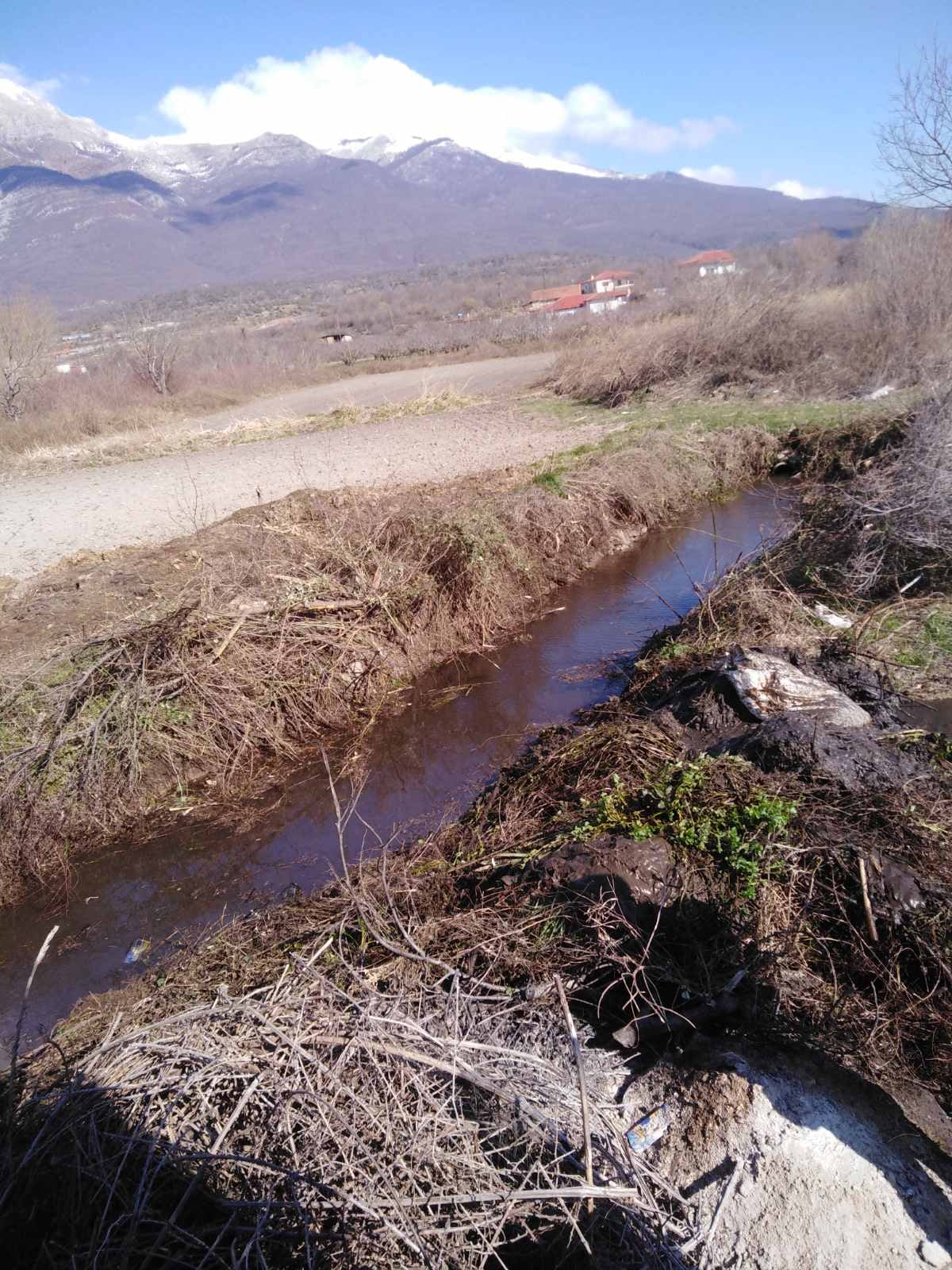 draseis_akp_2611.jpg draseis_akp_2611.jpg