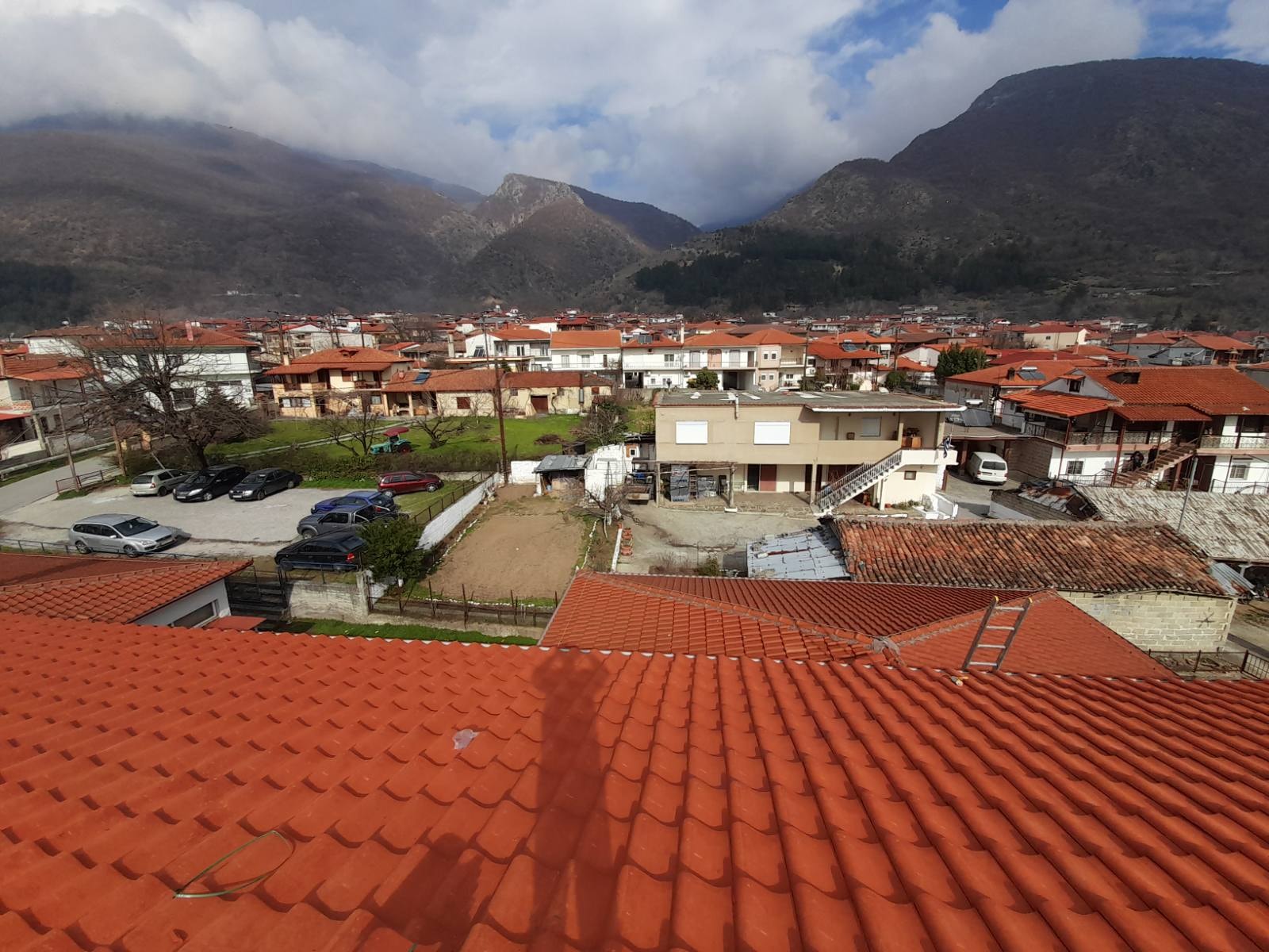 stegi_dimsch_promaxwn_1.jpg stegi_dimsch_promaxwn_1.jpg
